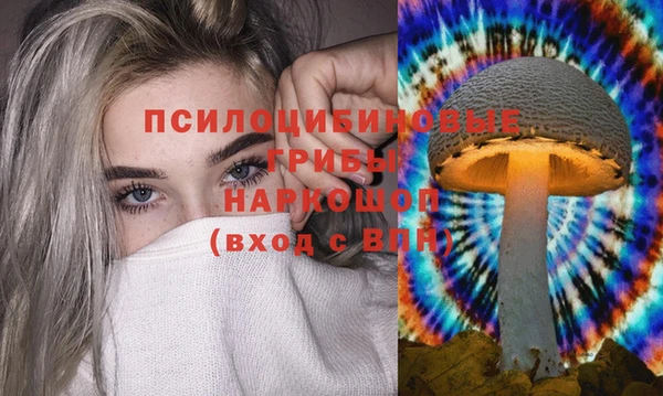 амф Баксан