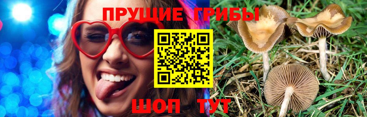 Мефедрон  Амфетамин   Гашиш  Купить  APVP СК кристаллы  Мефедрон   Вход с VPN  MDMA  Каннабис  Воскресенск  ГАШИШ  Кокаин 