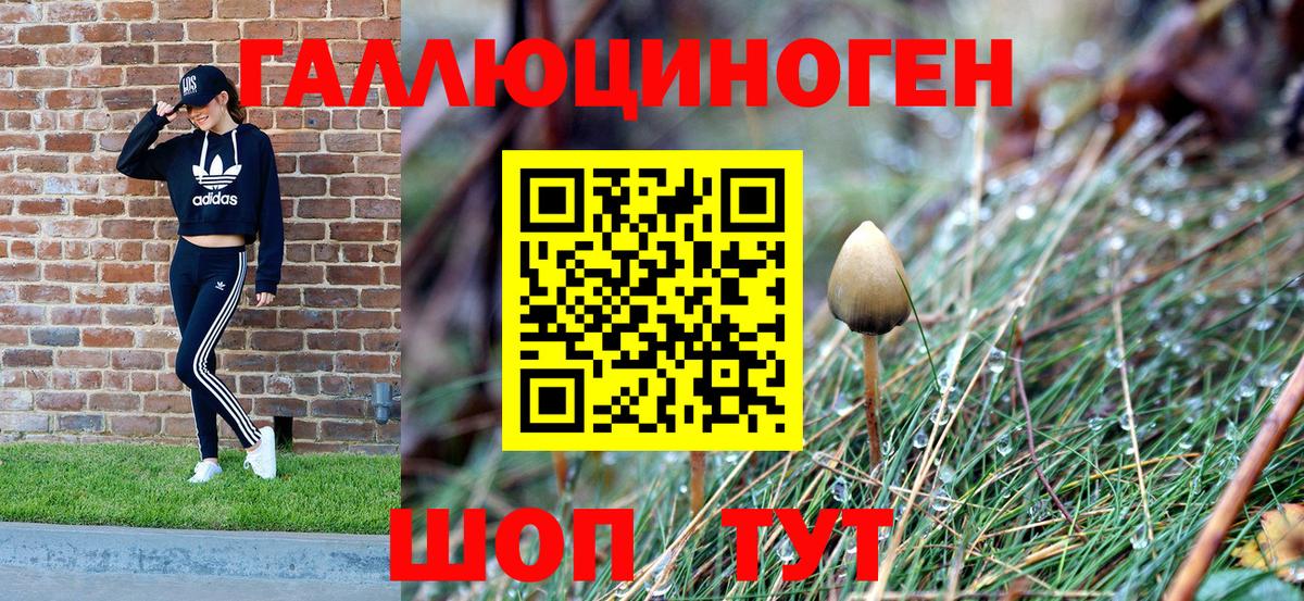 Галлюциногенные грибы прущие грибы  Псилоцибиновые грибы Psilocybine cubensis  Воскресенск  Вход с VPN 